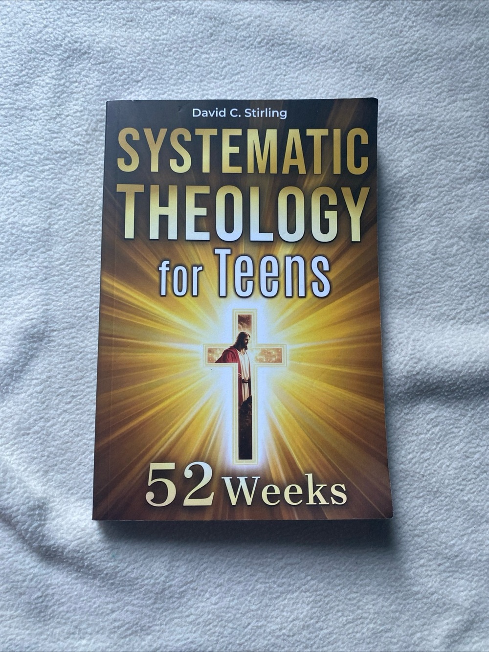 Systematic Theology for Teens — Gold and Brown Cover